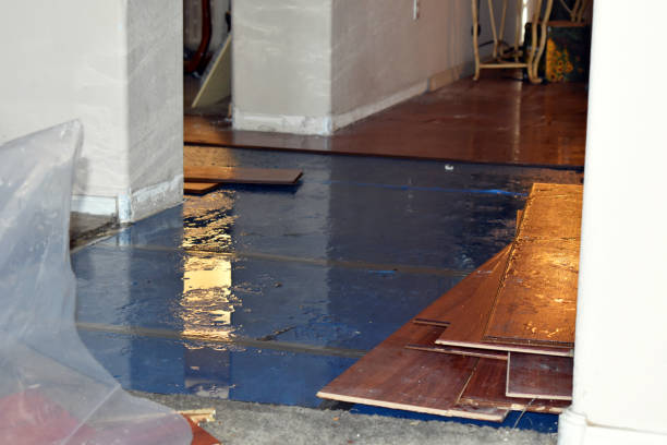 Professional Water Damage technician working in Hull, MA